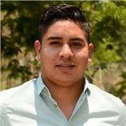 Profesor Tecnología: Computación y habilidades digitales